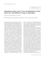 Báo cáo khoa học: 