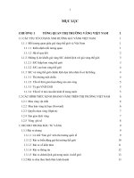 Quản trị rủi ro đầu tư vàng trên thị trường Việt Nam