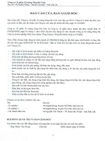 công ty cổ phần xi măng sông đà yaly báo cáo của ban giám đốc báo cáo tài chính cho năm tài chính kết thúc ngày 31 tháng 12 năm 2008