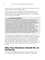Teach Yourself Facebook for Businessin 10 Minutes phần 2 pptx