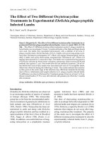 Báo cáo khoa học: 