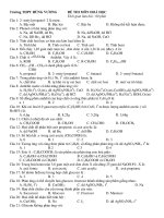 ĐỀ THI MÔN HOÁ HỌC - Trường THPT HÙNG VƯƠNG docx