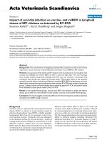 Báo cáo khoa học: 