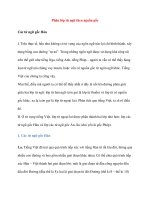 Phân lớp từ ngữ theo nguồn gốc: Các từ ngữ gốc Hán pdf