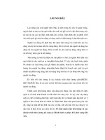 Tổ chức hạch toán tiền lương và các khoản trích theo lương tại công ty chỉnh hình và phục hồi chức năng hà nội