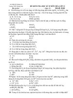 ĐỀ KIỂM TRA HỌC KỲ II MÔN HÓA LỚP 12 docx