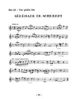 Phương pháp tự học thổi sáo và ngâm thơ part 8 ppsx