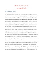 Phân lớp từ ngữ theo nguồn gốc: Các từ ngữ gốc Ấn-Âu pptx