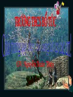 giáo án bồi dưỡng tham khảo sinh học lớp 7 trùng biến hình và trùng giày (1)