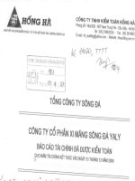 tổng công ty sông đà công ty cổ phần xi măng sông đà yaly báo cáo tài chính đã được kiểm toán cho năm tài chính  kết thúc ngày 31 tháng 12 năm 2006