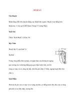 Lý thuyết Kinh mạch và Huyệt đạo: BỂ QUAN pps