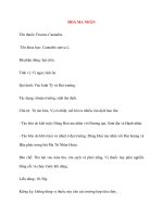 Dược vị Y Học: HOẢ MA NHÂN doc