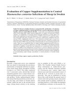 Báo cáo khoa học: 