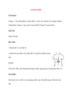 Lý thuyết Kinh mạch và Huyệt đạo: LƯƠNG MÔN doc