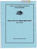 công ty cổ phần tập đoàn vinacontrol báo cáo tài chính hợp nhất  quý 4 năm 2012