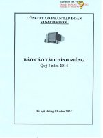 công ty cổ phần tập đoàn vinacontrol báo cáo tài chính riêng  quý 1 năm 2014