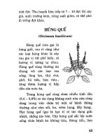 Bác sĩ cây trồng - Rau gia vị part 5 pptx