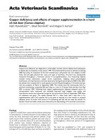 Báo cáo khoa học: 