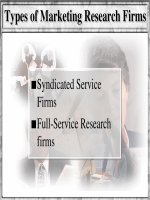 Nghiên cứu thị trường 3 potx