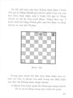Tự học chơi cờ vua part 3 ppsx