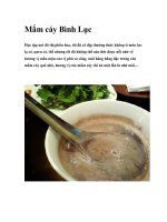 Mắm cáy Bình Lục ppt