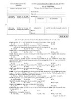 KỲ THI TUYỂN SINH LỚP 10 THPT NĂM HỌC 2010-2011 - MÃ ĐỀ 209 doc