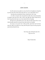 Nghiên cứu sản xuất thử nghiệm nước giải khát từ trái thanh long