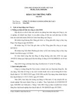 công ty cổ phần xi măng sông đà yaly báo cáo thường niên 2010