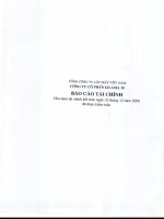 tổng công ty lắp máy việt nam công ty cổ phần lilama 18 báo cáo tài chính cho năm tài chính kết thúc ngày 31 tháng 12 năm 2008 đã được kiểm toán