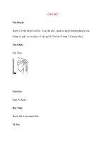 Lý thuyết Kinh mạch và Huyệt đạo: CÂN SÚC pptx