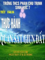 giáo án bồi dưỡng tham khảo sinh học lớp 7 thực hành giun đất