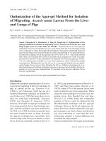 Báo cáo khoa học: 