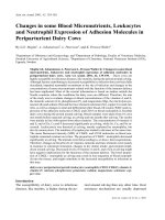 Báo cáo khoa học: 