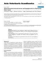 Báo cáo khoa học: 