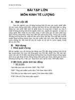 bài tập lớn môn kinh tế lượng