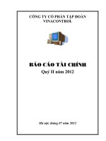 công ty cổ phần tập đoàn vinacontrol báo cáo tài chính quý 2 năm 2012