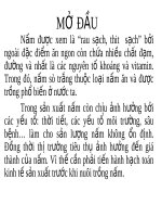 Tiểu luận tìm hiểu về các loại cây nấm