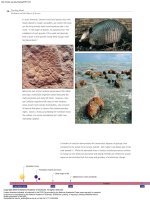 Teaching About Evolution and the Nature of Science - NAP (2004) Episode 4 doc