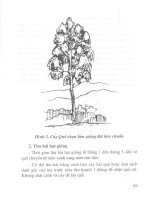 Kỹ thuật trồng một số cây lâm nghiệp, cây đặc sản rừng part 7 docx