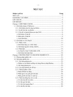 Thiết kế, chế tạo robot tự động tham gia robocon 2010