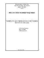 NGHIÊN cứu QUY TRÌNH sản XUẤT THỬ NGHIỆM  mứt từ cùi dưa hấu