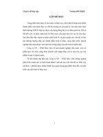 Công tác tổ chức kế toán bán hàng tại công ty cổ phần xuất nhập khẩu bảo lâm