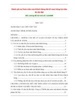 nh giá sự thoả mãn của khách hàng khi đi mua hàng tại siêu thị Hà Nội docx