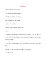 Dược vị Y Học: LA BỐ MA pptx