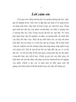 Khám phá sự khác biệt trong việc sử dụng các mạng điện thoại di động tại thành phố nha trang