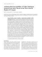 Báo cáo khoa học: 