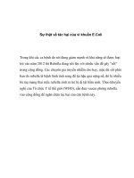 Sự thật về tác hại của vi khuẩn E.Coli pdf