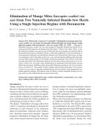 Báo cáo khoa học: 