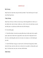 Bệnh Học Thực Hành: HUYẾT LỰU pptx