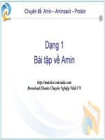các dạng bài tập amin